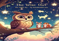 The Wise Owl and the Night Sky